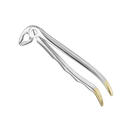 Extracting forceps, anat.
